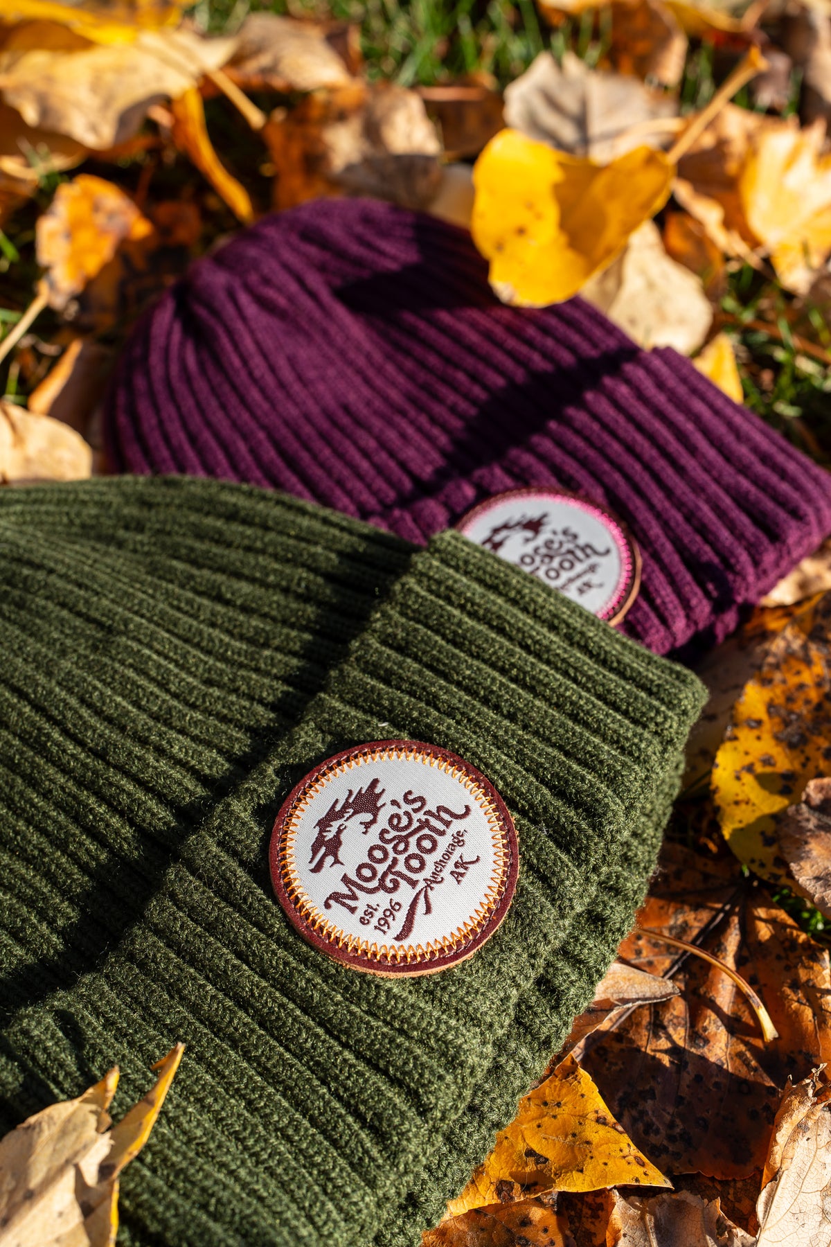 Groovy Tooth Beanie