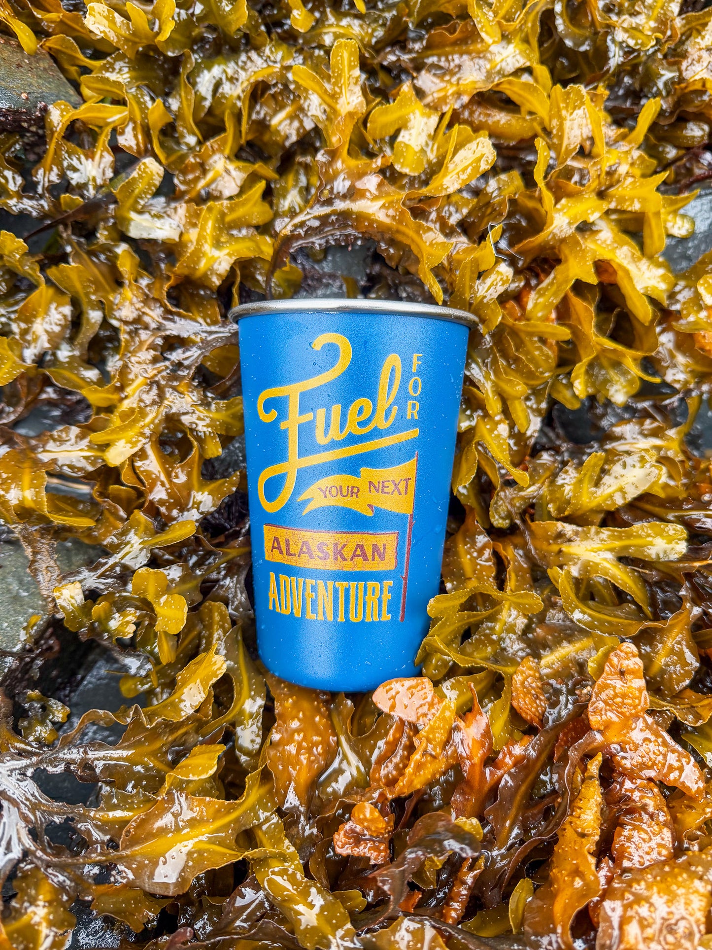Stainless Steel Pint